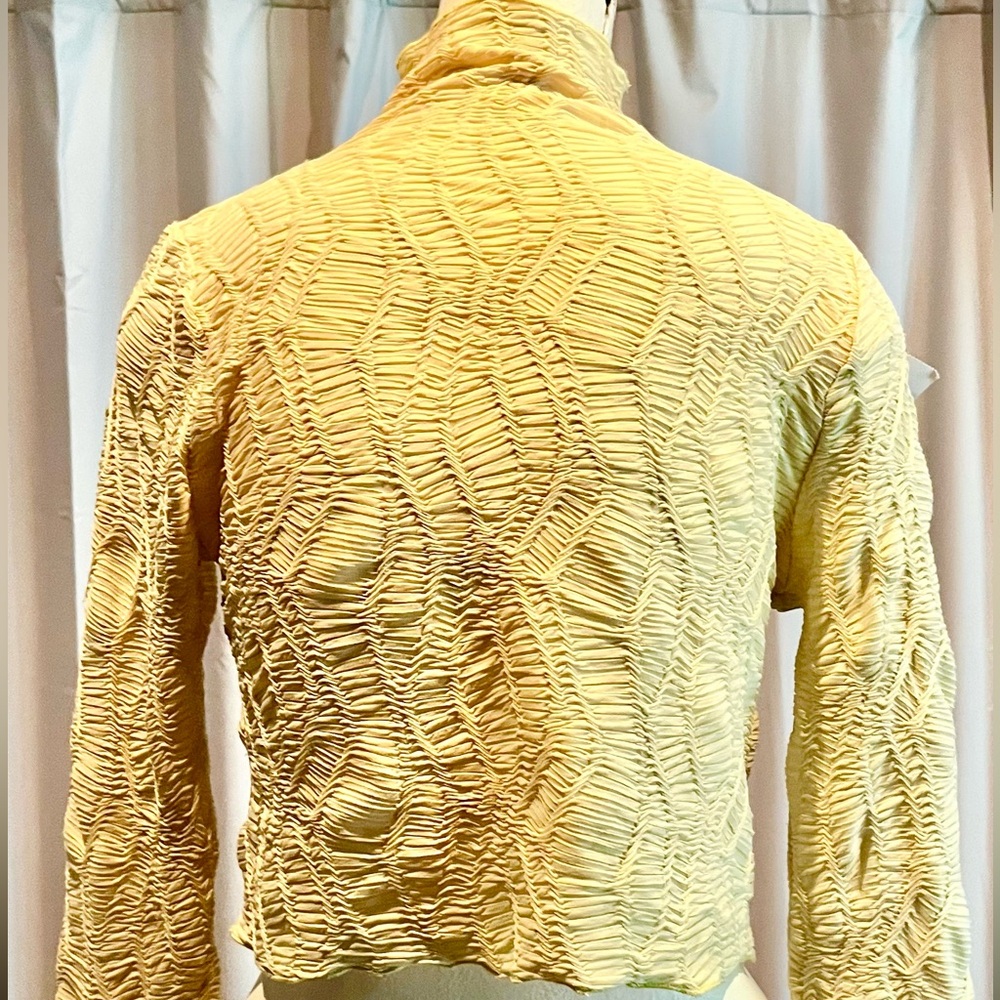 Cropped Blouse - Picture 3 of 4